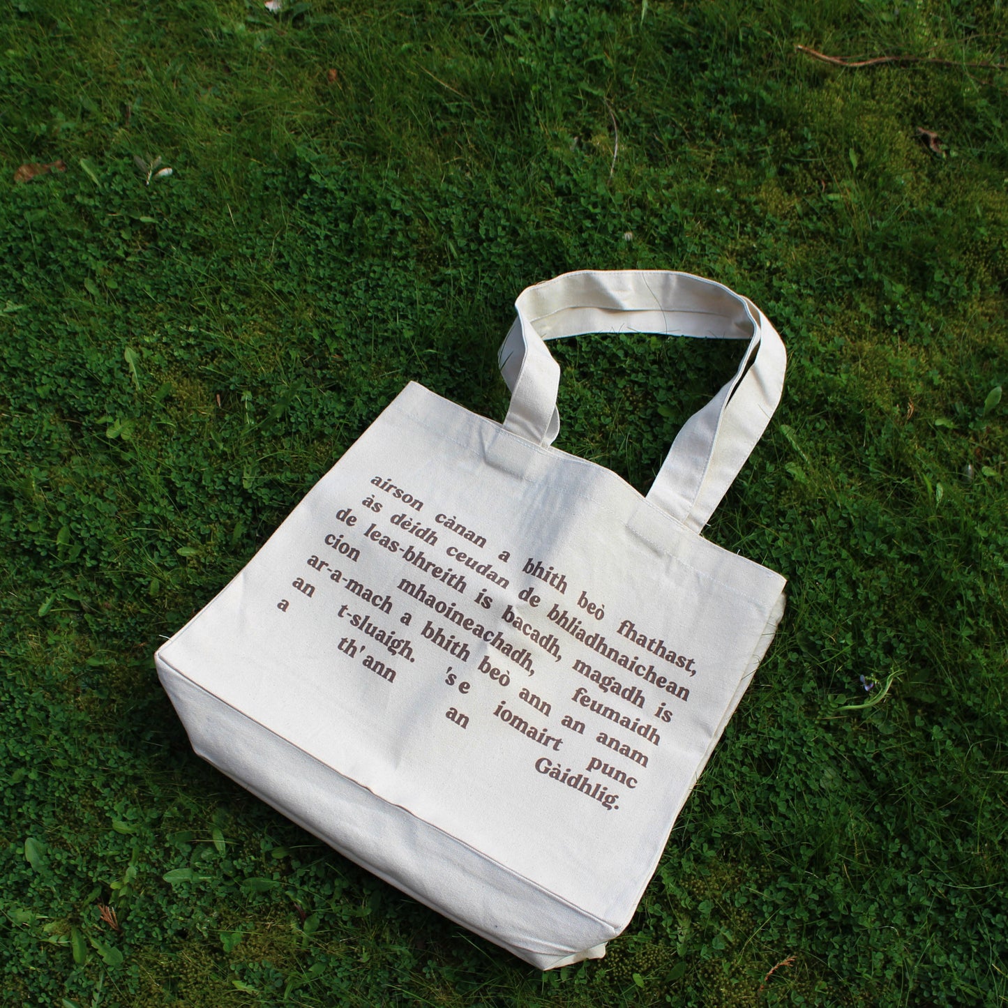 ✨bragail✨ gaelic is punk tote bag // PREORDER
