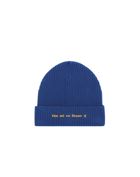 Am Too Cold :( - Scottish Gàidhlig Beanie - Deise-sgoile